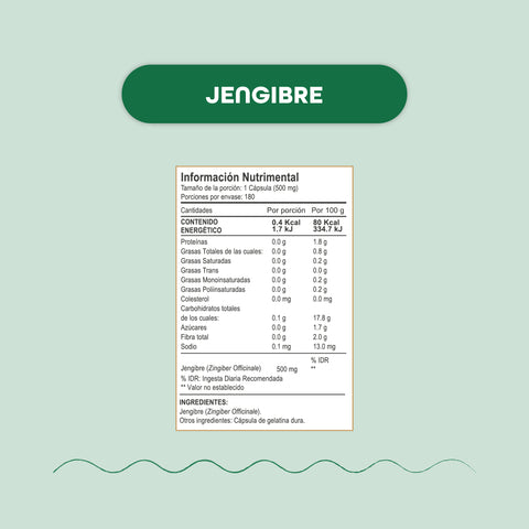 Kit Digestion | Cápsulas Psyllium + Spirulina + Jengibre