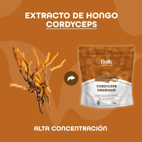 Hongo Cordyceps en Polvo
