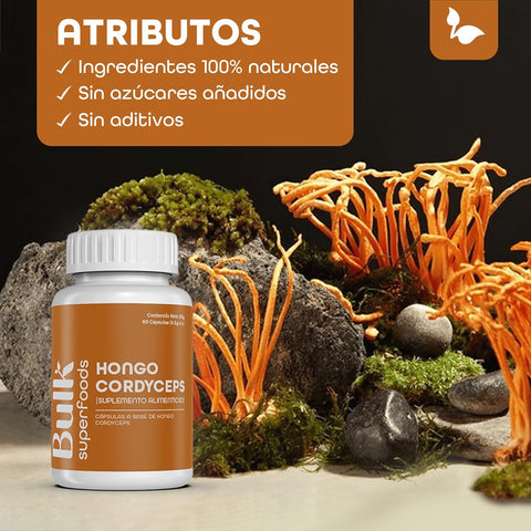 Hongo Cordyceps en Cápsulas