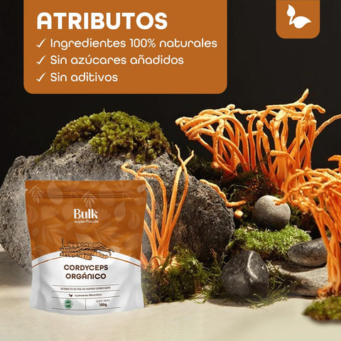 Hongo Cordyceps en Polvo