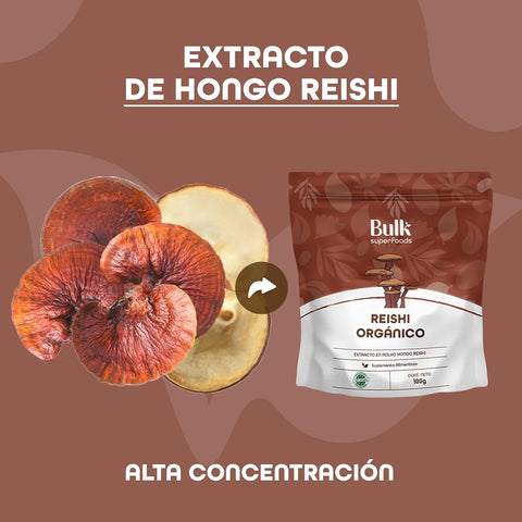 Hongo Reishi en Polvo