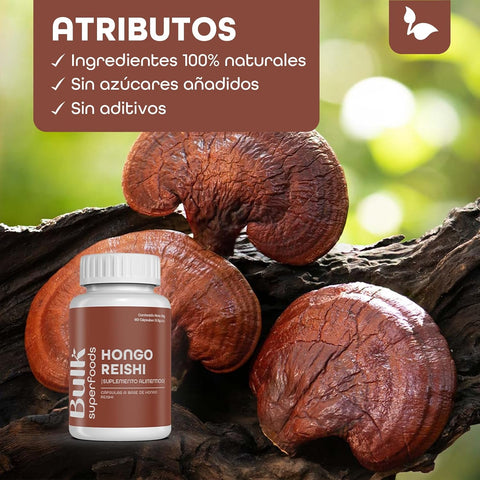 Hongo Reishi en Cápsulas