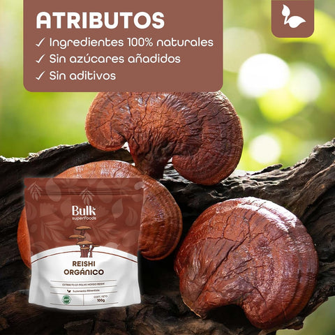 Hongo Reishi en Polvo