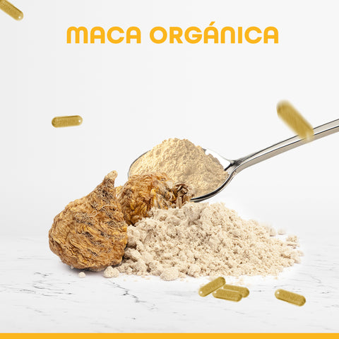 Maca en Cápsulas