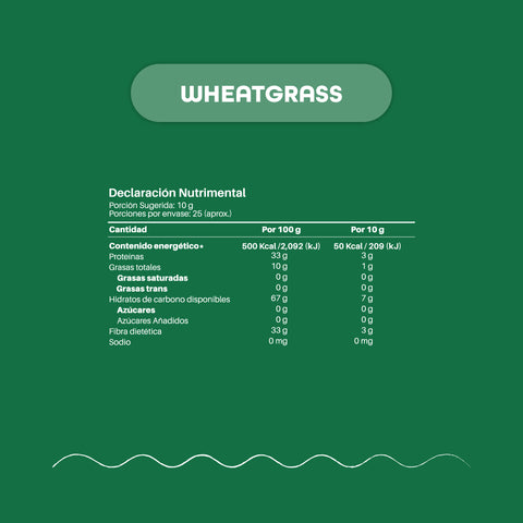 Kit Verde  | Espirulina + Wheatgrass + Te Matcha