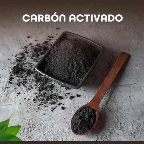 Carbón Activado Natural en Polvo